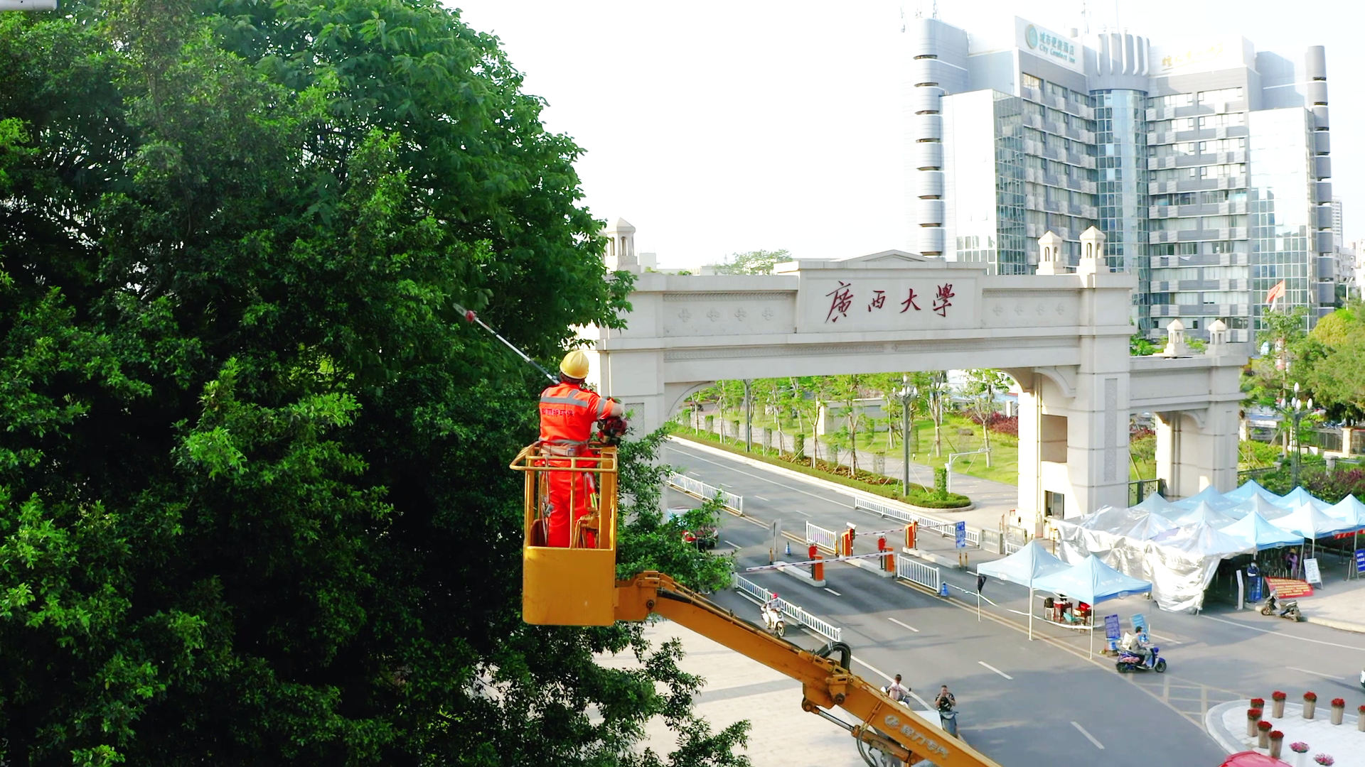 科麗特 美麗的守護(hù)者定稿-無(wú)字幕[00_03_10][20200811-110847].png